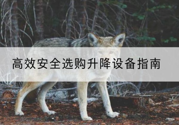 叙州升降货梯厂家推荐-*安全选购升降设备指南