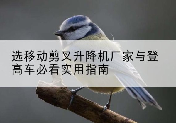叙州电动升降机厂家-选移动剪叉升降机厂家与登高车必看实用指南